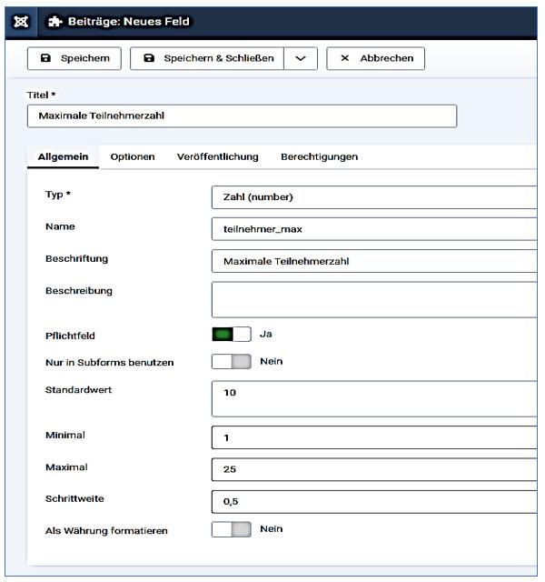 11 Benutzerdefiniertes Feld Typ Zahl